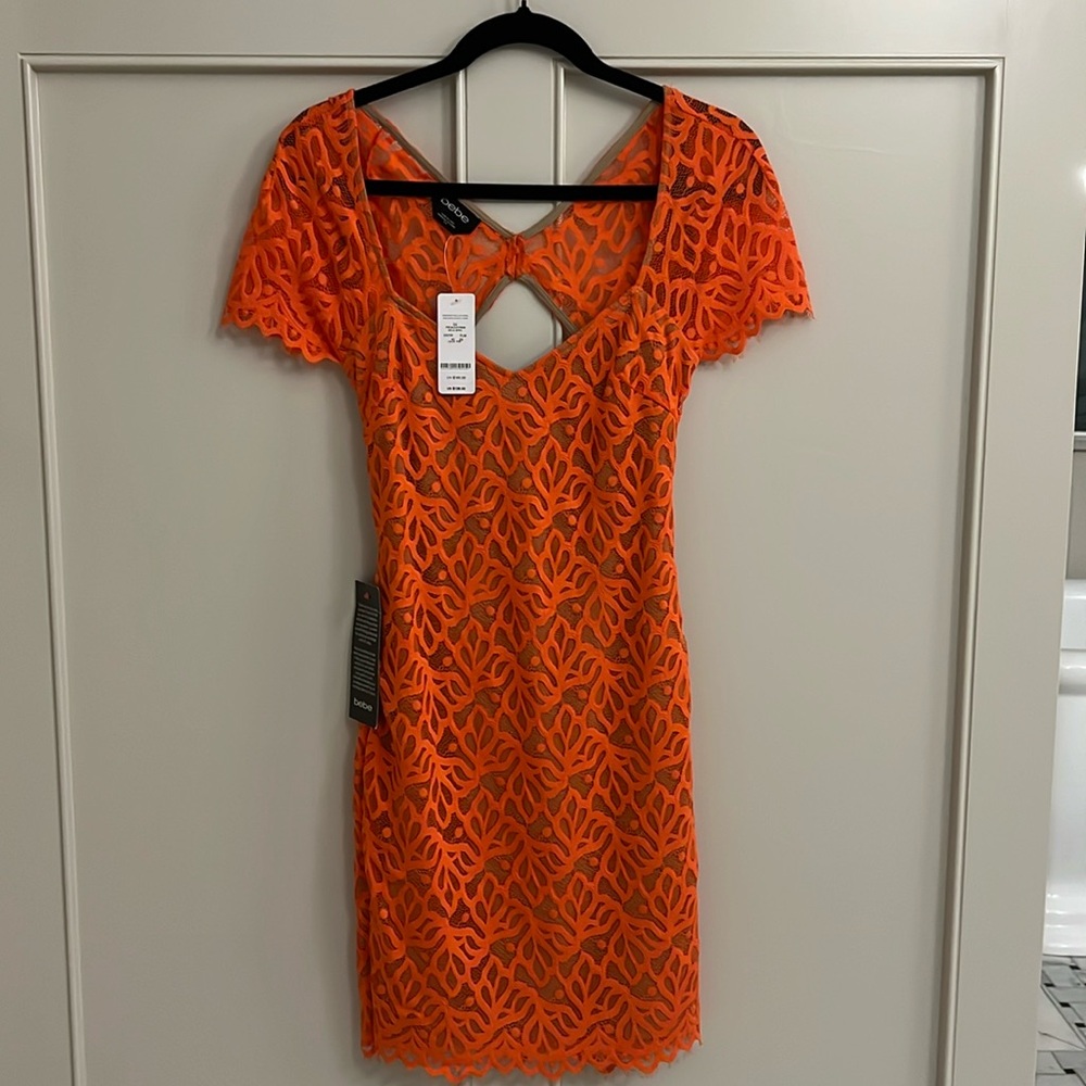 Orange bebe lace dress - NWT